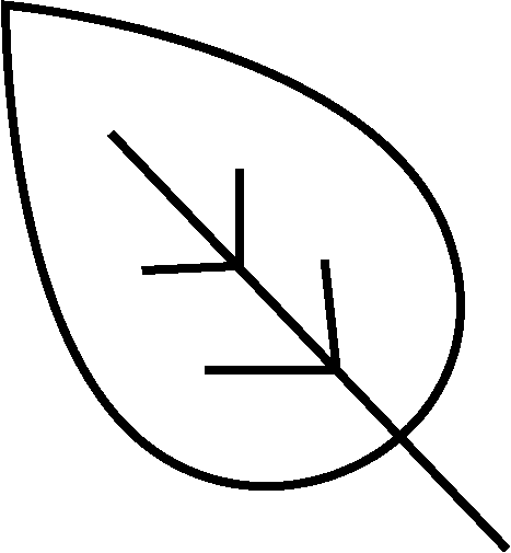 دارویی و درمانی